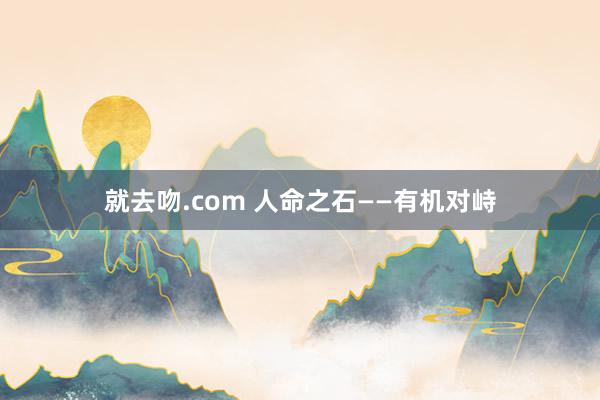 就去吻.com 人命之石——有机对峙