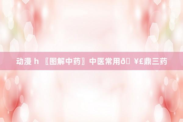 动漫 h 〖图解中药〗中医常用🥣鼎三药