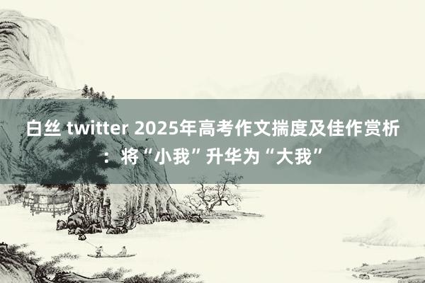 白丝 twitter 2025年高考作文揣度及佳作赏析：将“小我”升华为“大我”