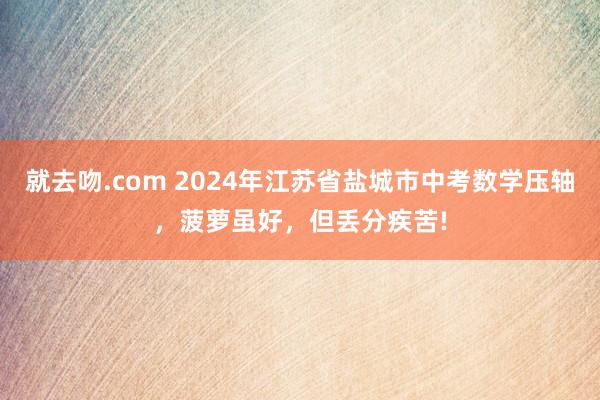 就去吻.com 2024年江苏省盐城市中考数学压轴，菠萝虽好，但丢分疾苦!