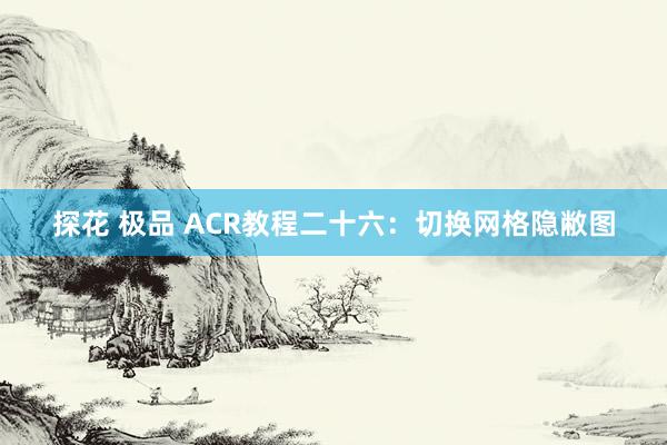 探花 极品 ACR教程二十六：切换网格隐敝图