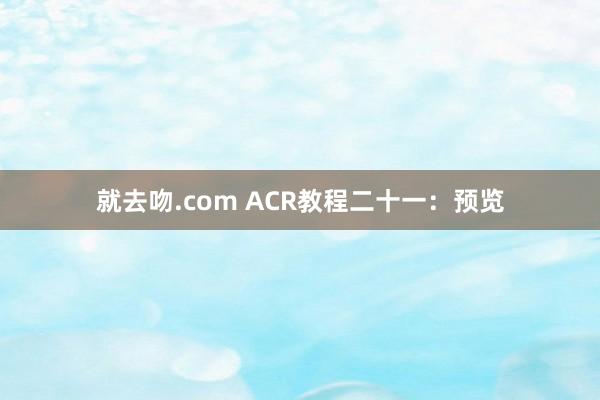 就去吻.com ACR教程二十一：预览
