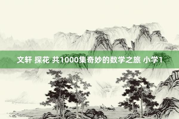 文轩 探花 共1000集奇妙的数学之旅 小学1